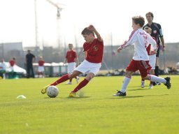 fonix.99.graz.2010.03.21.154